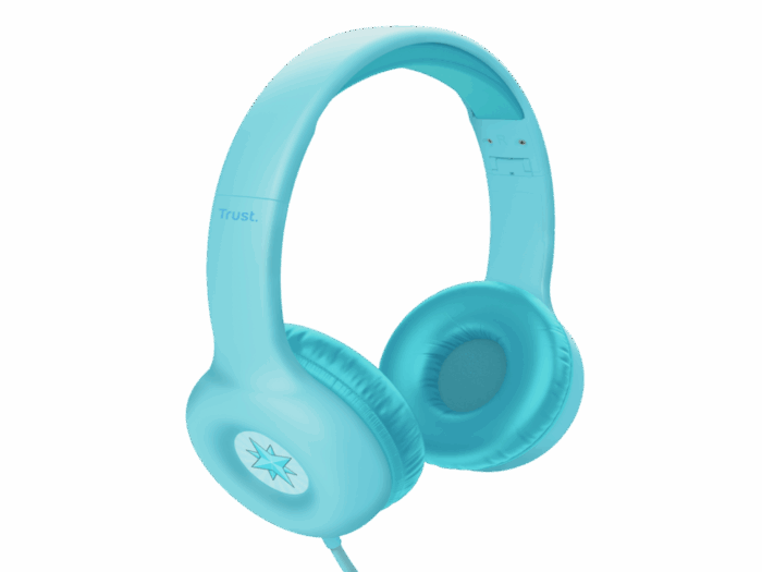 25278_240813120856196