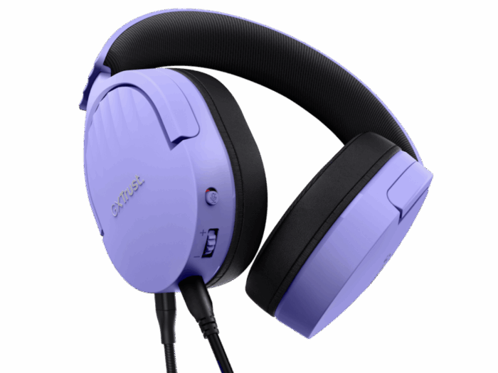 25301_240207120238942