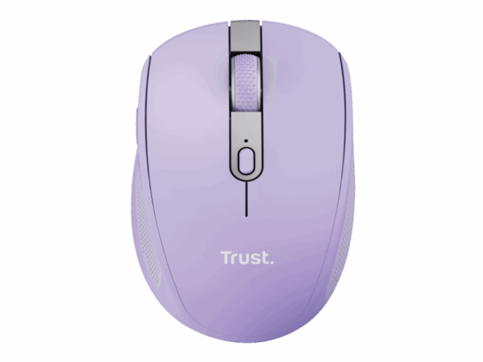 25384_240514100550941