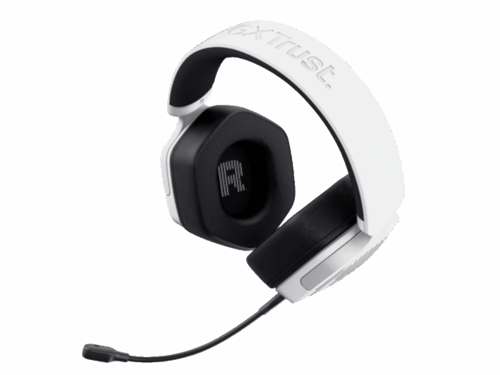 25448_250218120248071