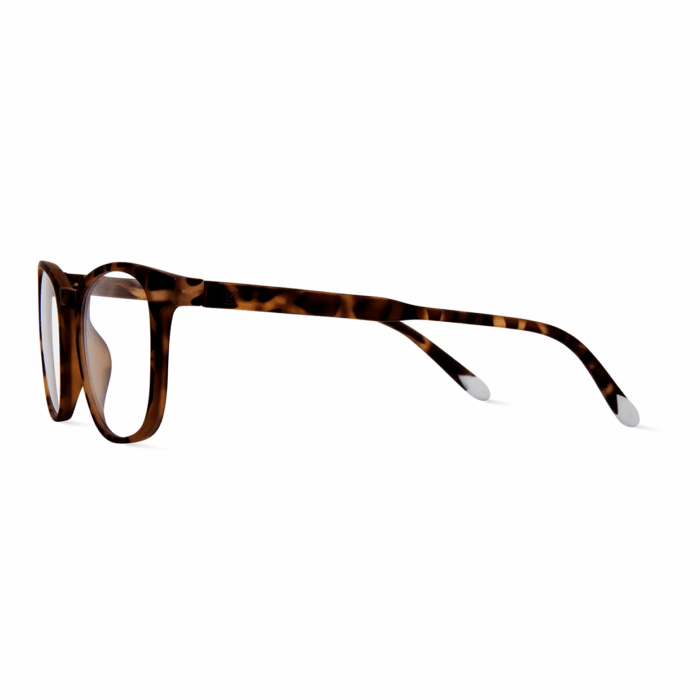 Zaštitne naocare BARNER Dalston/Tortoise