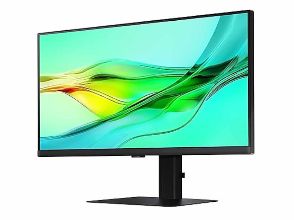 Monitor SAMSUNG LS24D600UAUXEN 24"/IPS/2560x1440/100Hz/5ms GtG/HDMIx2,DP,USB,LAN/Pivot,visina/crna - Slika 3